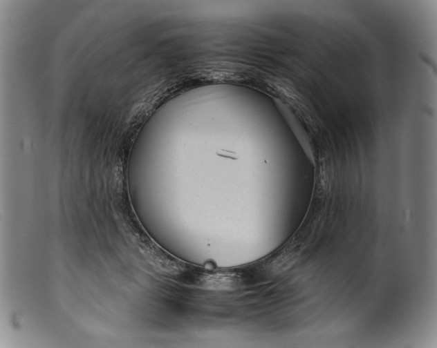 X0000099430461200805231657
