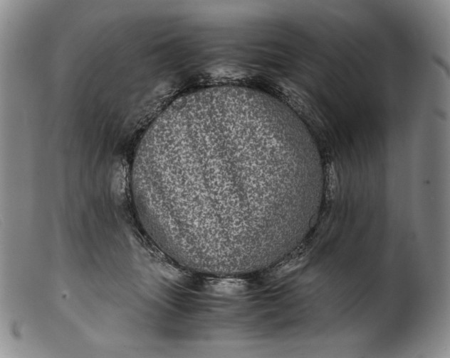 X0000099430463200805231657
