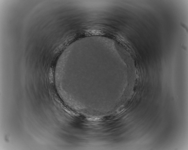 X0000099430465200805231657