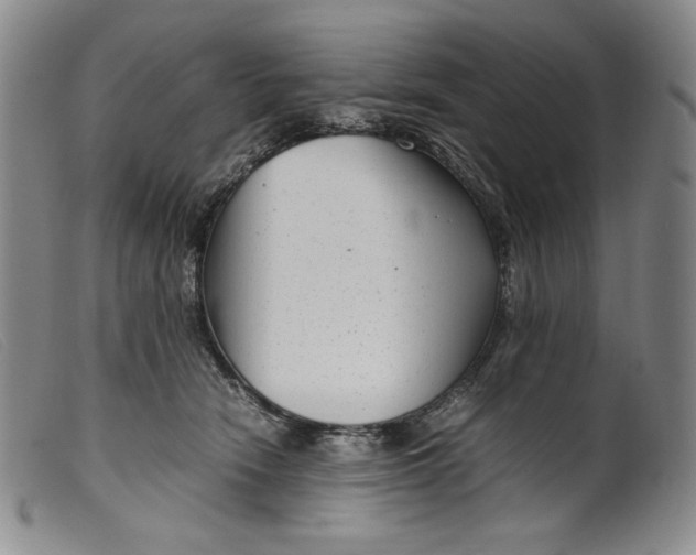 X0000099430466200805231657
