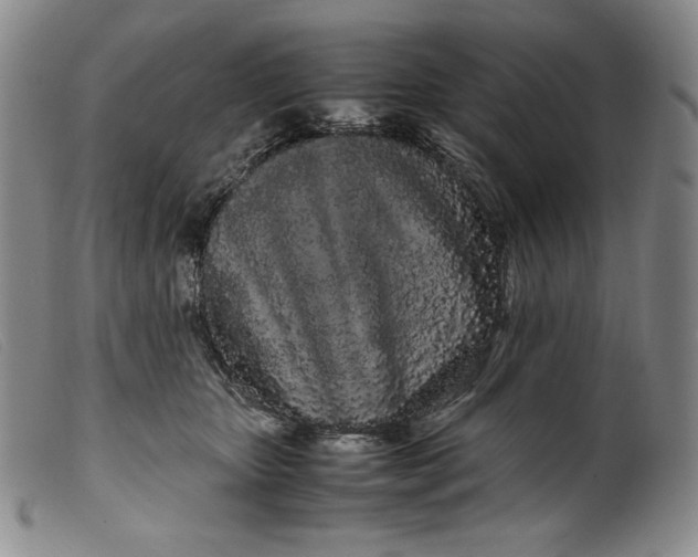 X0000099430467200805231657