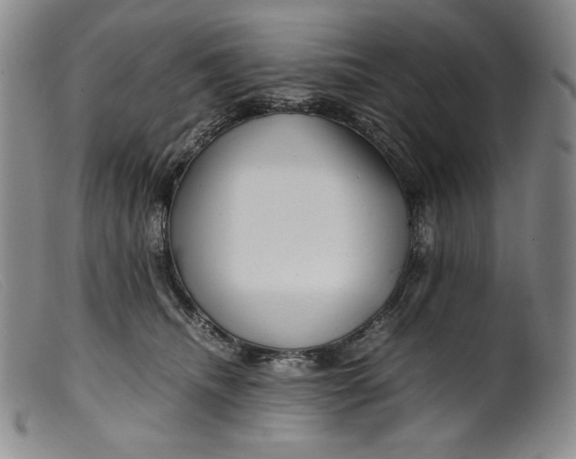 X0000099430468200805231657
