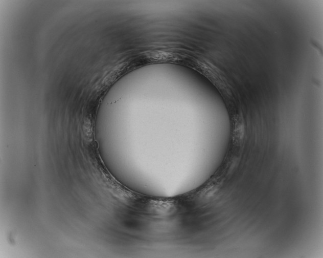 X0000099430469200805231657