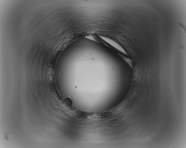 X0000099430470200805231657