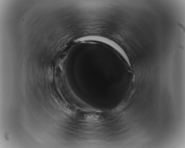 X0000099430471200805231657