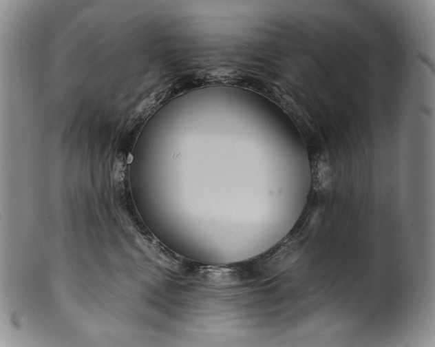 X0000099430472200805231657
