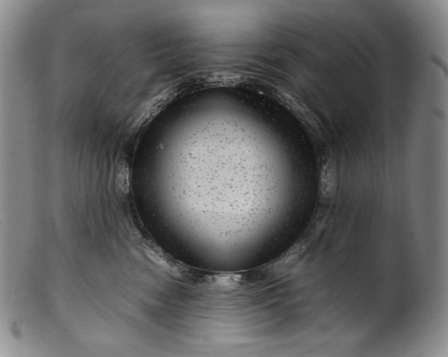 X0000099430474200805231657