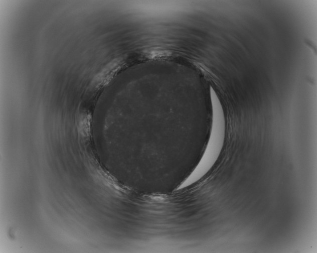 X0000099430475200805231657