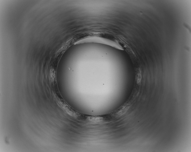 X0000099430476200805231657
