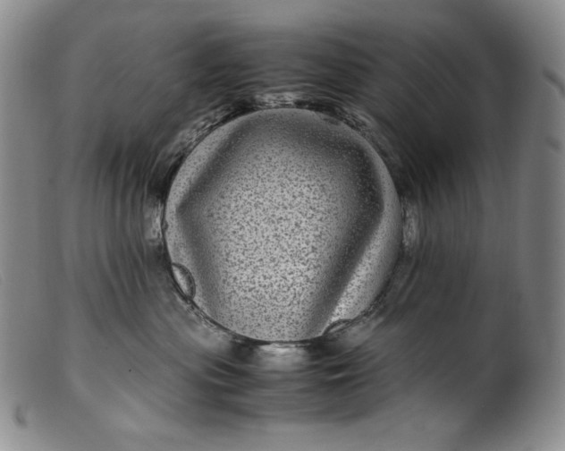 X0000099430477200805231657