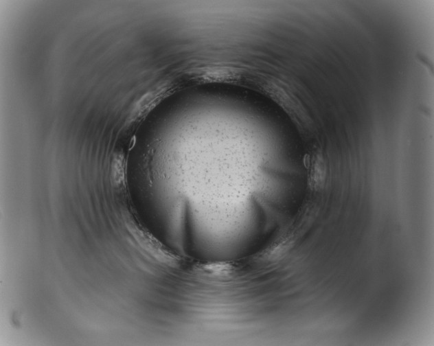X0000099430478200805231657