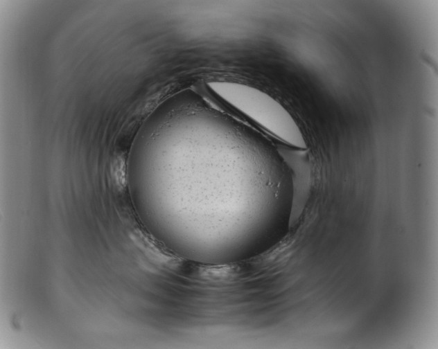 X0000099430479200805231657
