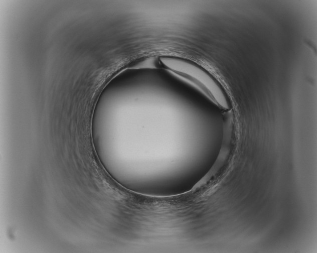 X0000099430481200805231657