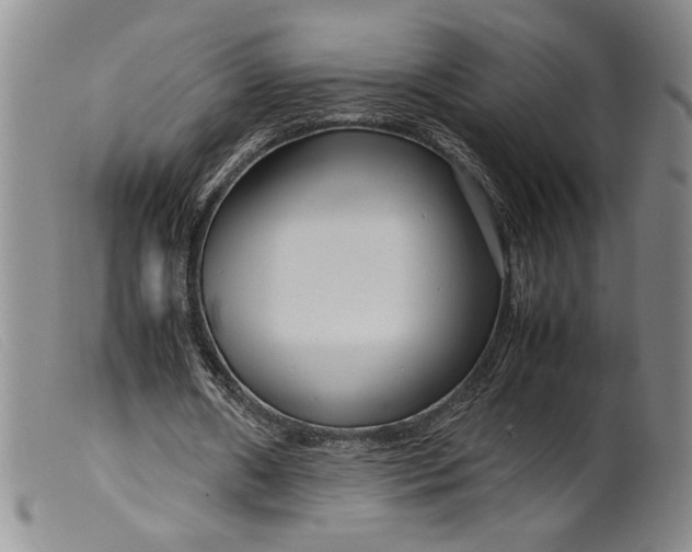 X0000099430482200805231657