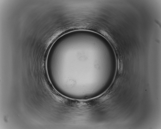 X0000099430483200805231657