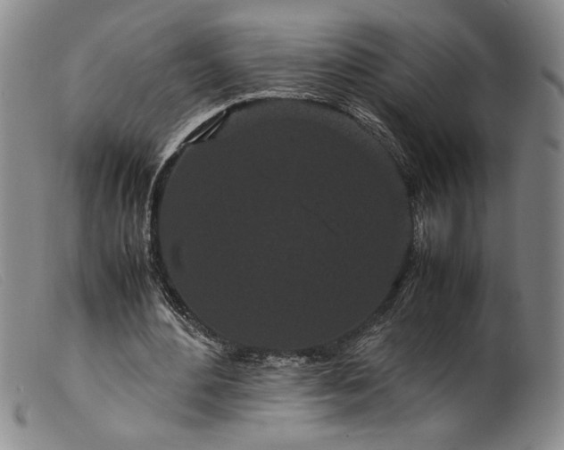 X0000099430484200805231657
