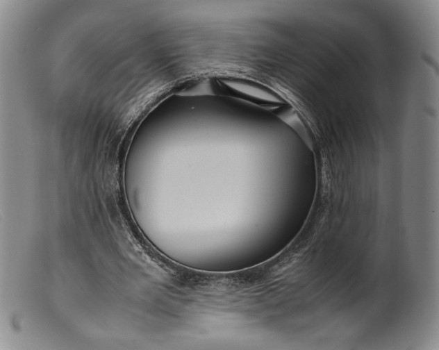 X0000099430485200805231657
