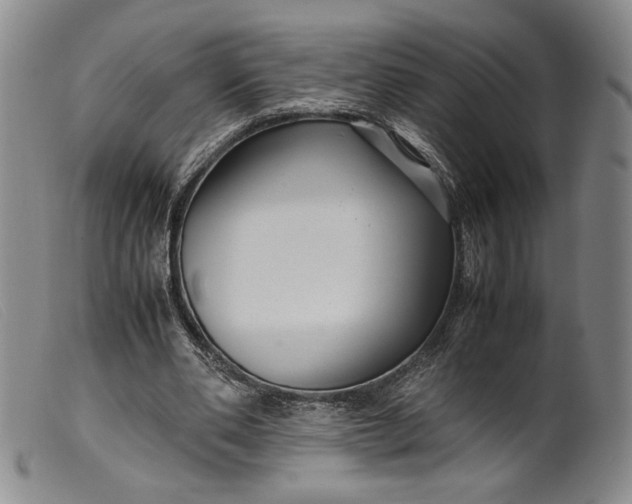 X0000099430486200805231657