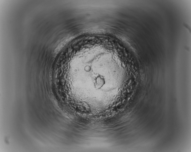 X0000099430487200805231657