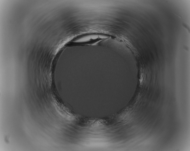 X0000099430488200805231656