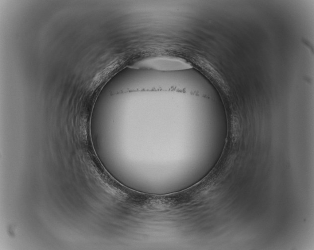 X0000099430489200805231656