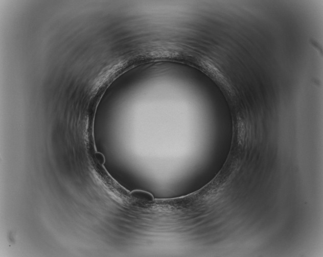 X0000099430490200805231656