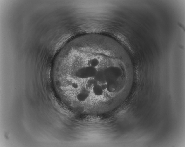X0000099430491200805231656