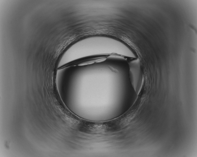 X0000099430493200805231656