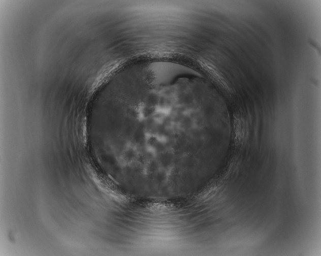 X0000099430494200805231656