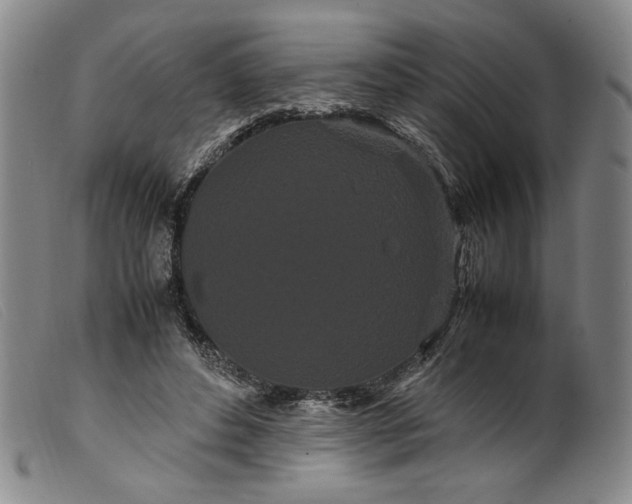 X0000099430496200805231656