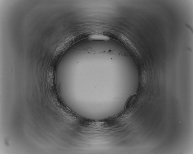 X0000099430497200805231656