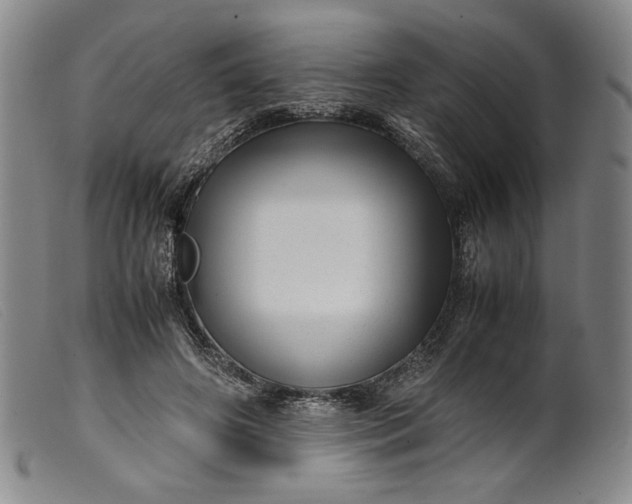 X0000099430498200805231656