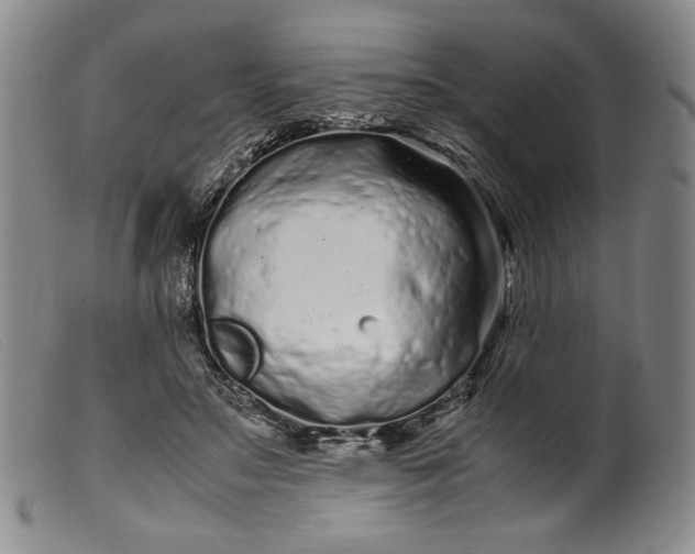 X0000099430499200805231656