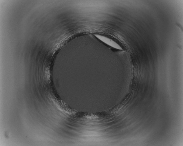 X0000099430500200805231656
