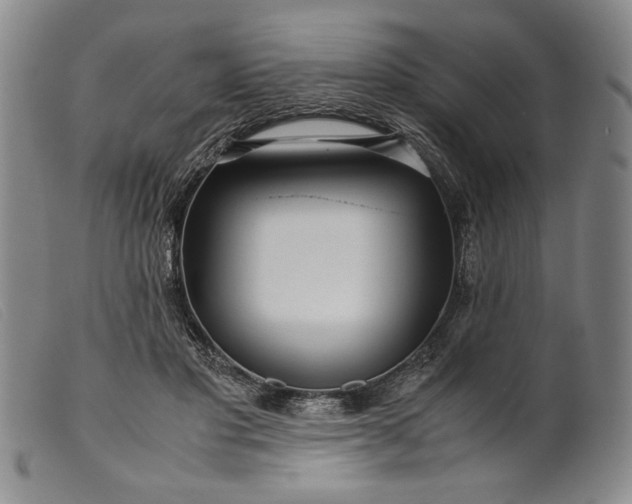 X0000099430501200805231656