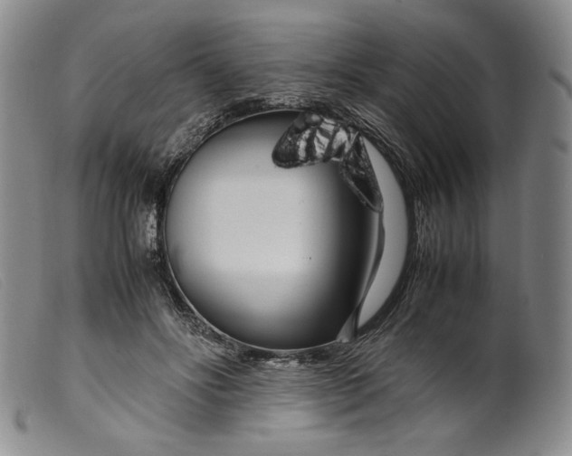 X0000099430502200805231656
