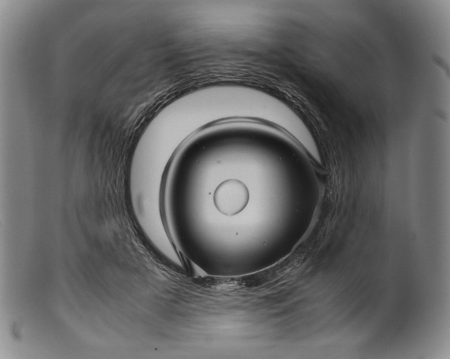X0000099430505200805231656