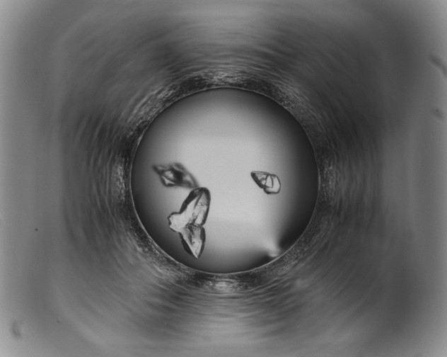 X0000099430506200805231656