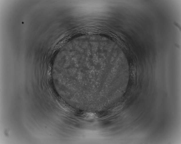 X0000099430507200805231656