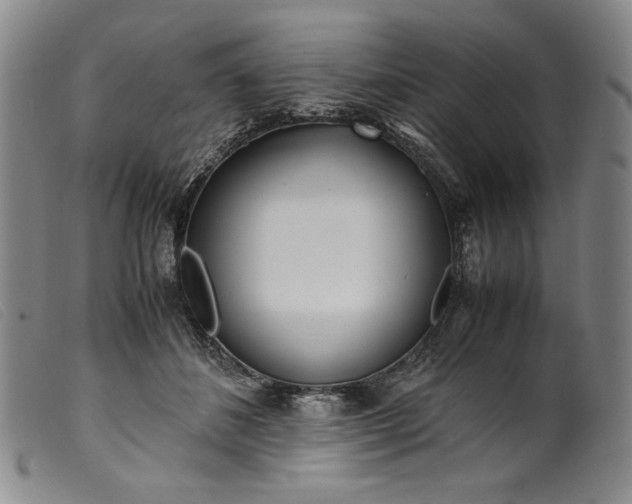 X0000099430508200805231656