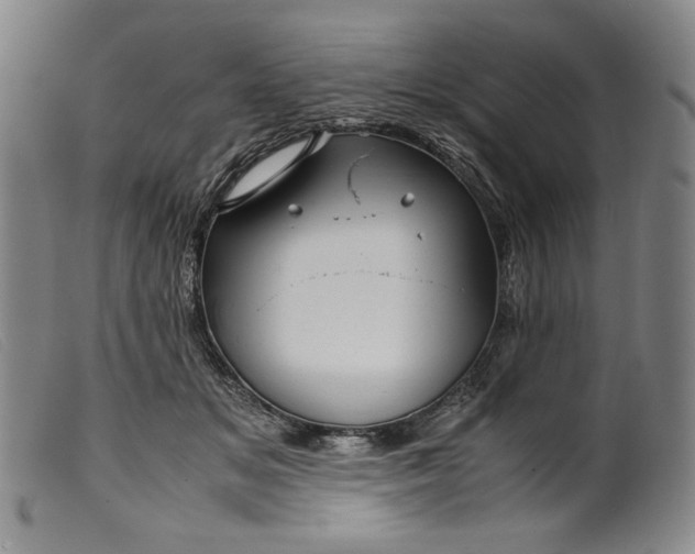 X0000099430509200805231656