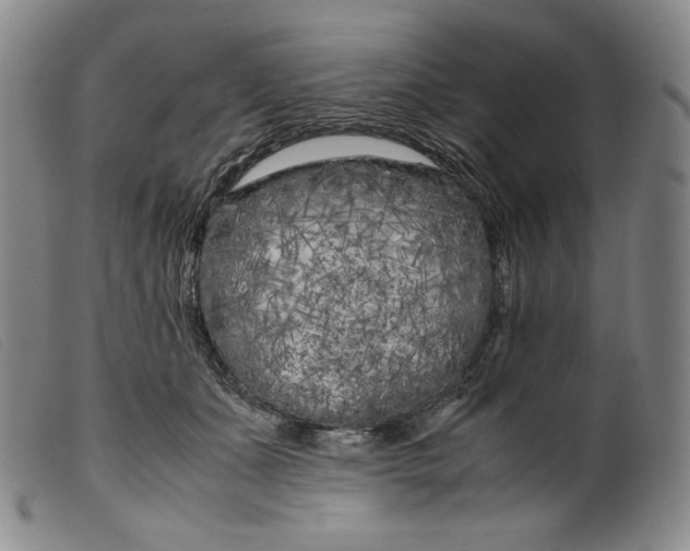 X0000099430511200805231656