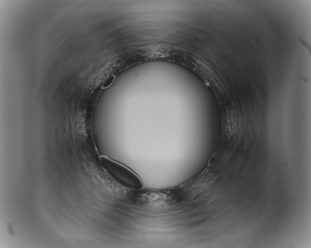 X0000099430512200805231656