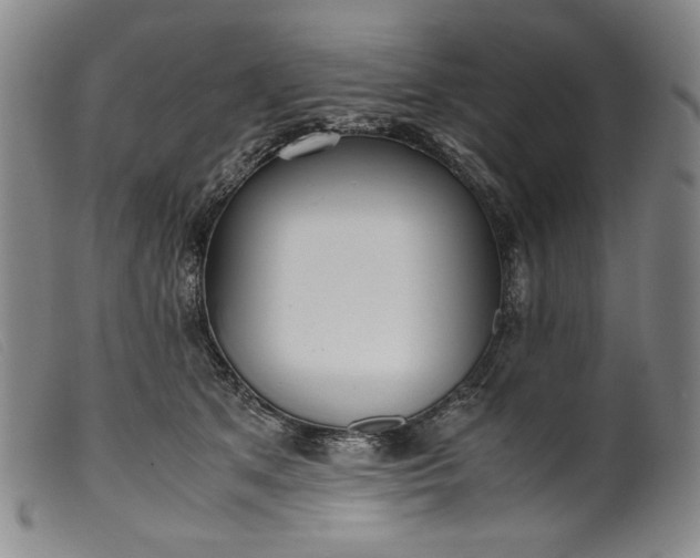 X0000099430513200805231656