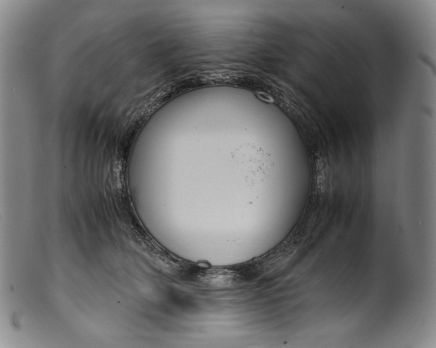 X0000099430514200805231656
