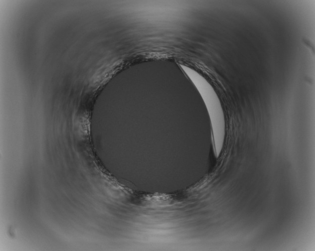 X0000099430517200805231656