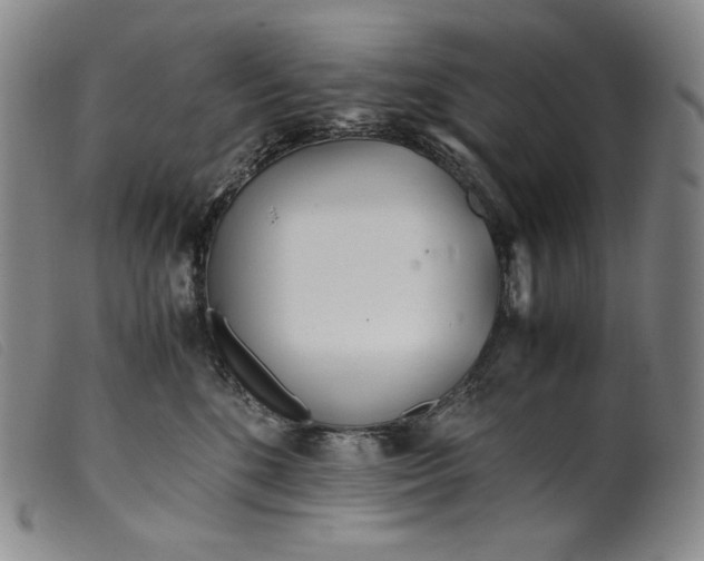 X0000099430520200805231656