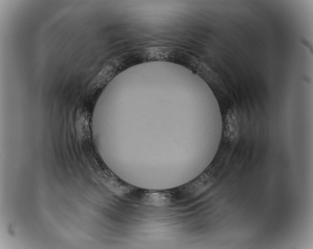 X0000099430522200805231656