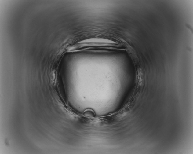 X0000099430523200805231656