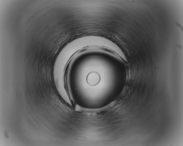 X0000099430524200805231656